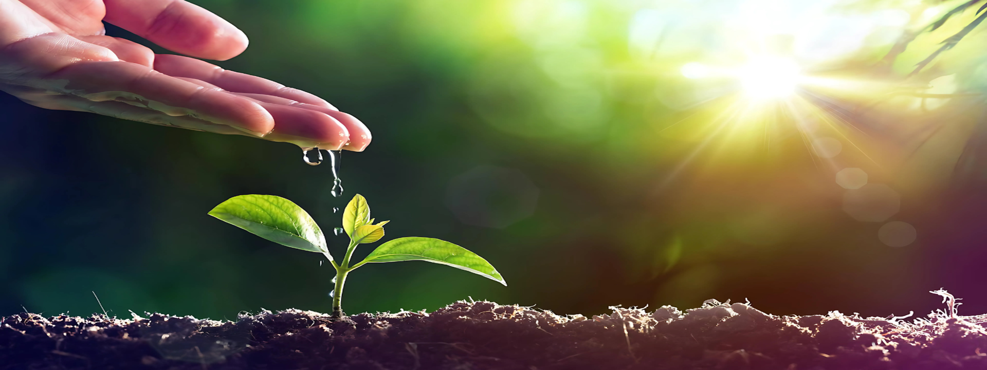 Hands for Plants