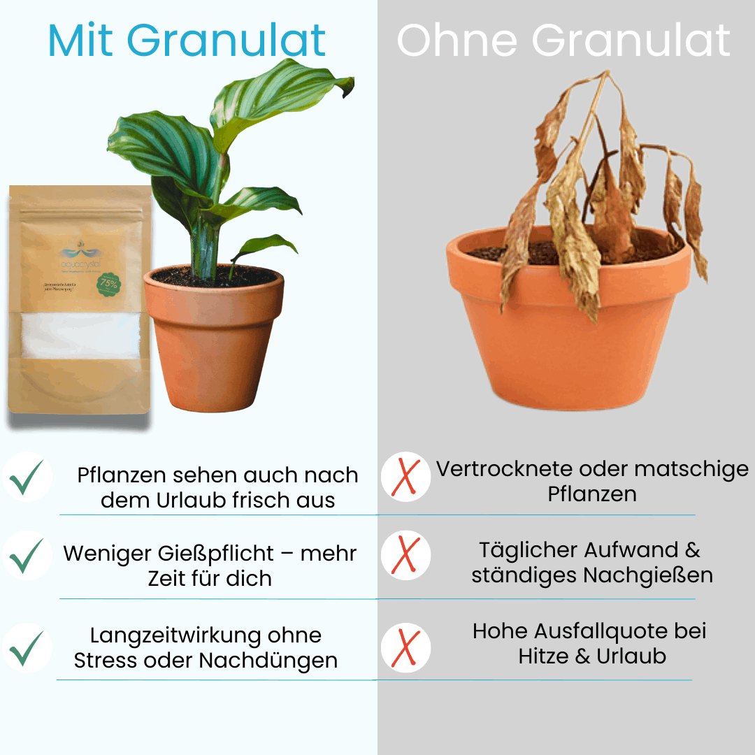 Wasserspeicher Granulat für Garten, Topf & Balkon